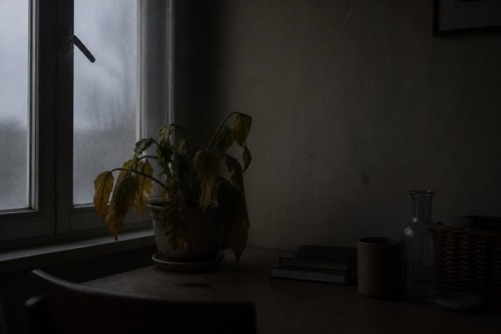 découvrez comment reconnaître les signes d'un manque de lumière et apprendre à y remédier pour améliorer votre bien-être et votre environnement.