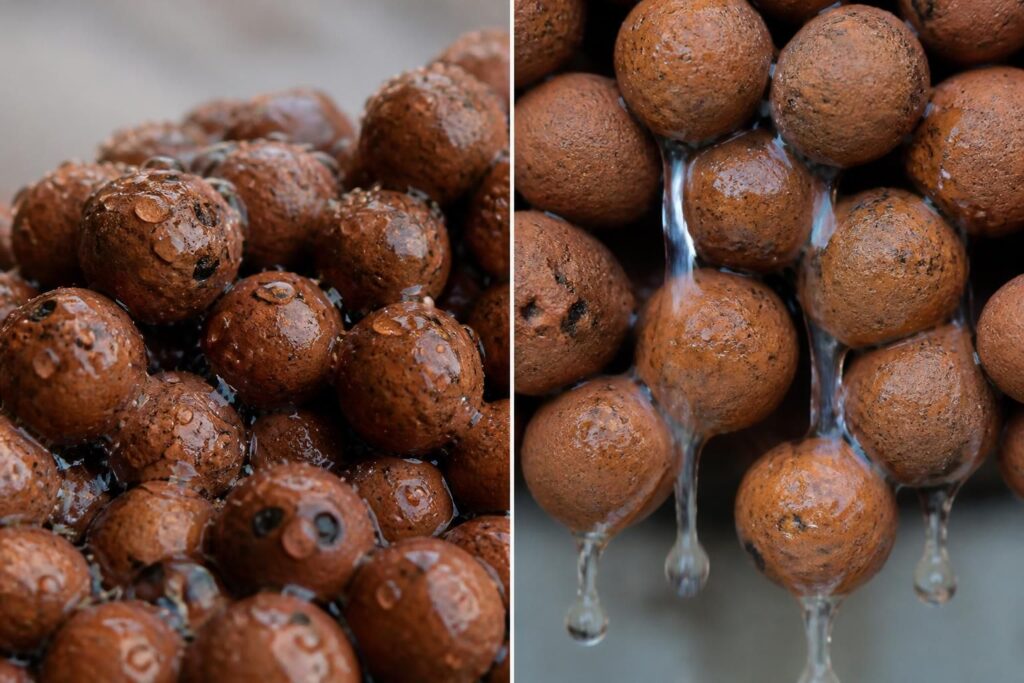 découvrez comment les billes d'argile peuvent améliorer le drainage de vos plantes tout en servant de réserve d'eau efficace pour une meilleure croissance.